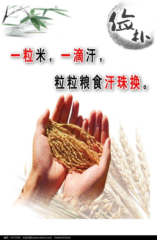 本科学位证什么时候考试